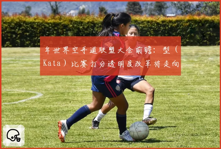 年世界空手道联盟大会前瞻：型（Kata）比赛打分透明度改革将走向何方？